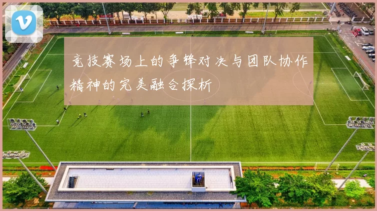 竞技赛场上的争锋对决与团队协作精神的完美融合探析