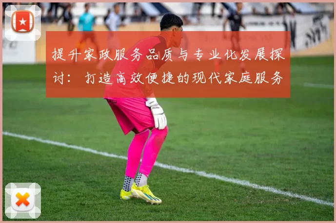 提升家政服务品质与专业化发展探讨：打造高效便捷的现代家庭服务体系