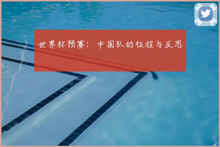 世界杯预赛：中国队的征程与反思