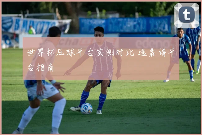 世界杯压球平台实测对比 选靠谱平台指南