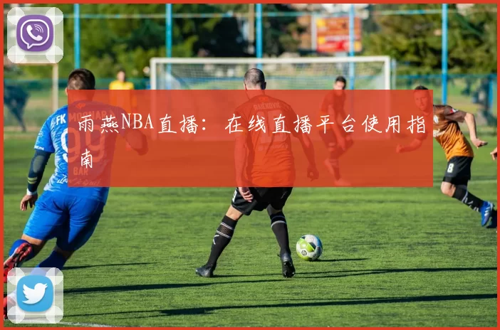 雨燕NBA直播：在线直播平台使用指南