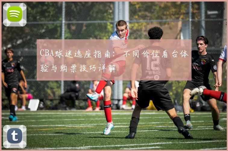 CBA球迷选座指南：不同价位看台体验与购票技巧详解