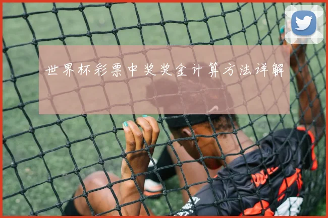 世界杯彩票中奖奖金计算方法详解