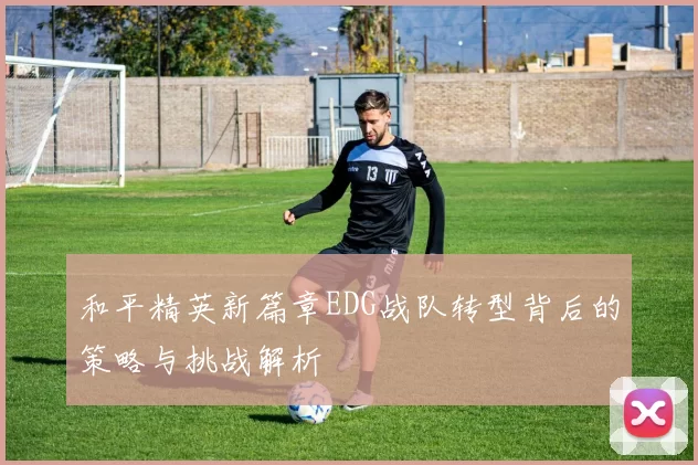 和平精英新篇章EDG战队转型背后的策略与挑战解析