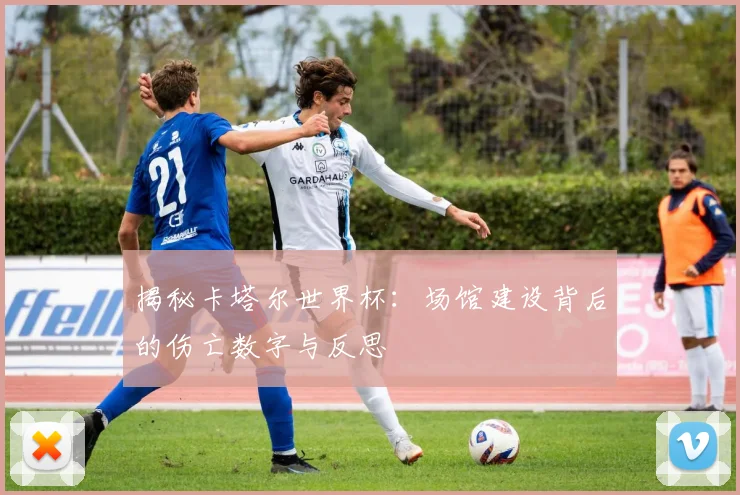 揭秘卡塔尔世界杯：场馆建设背后的伤亡数字与反思