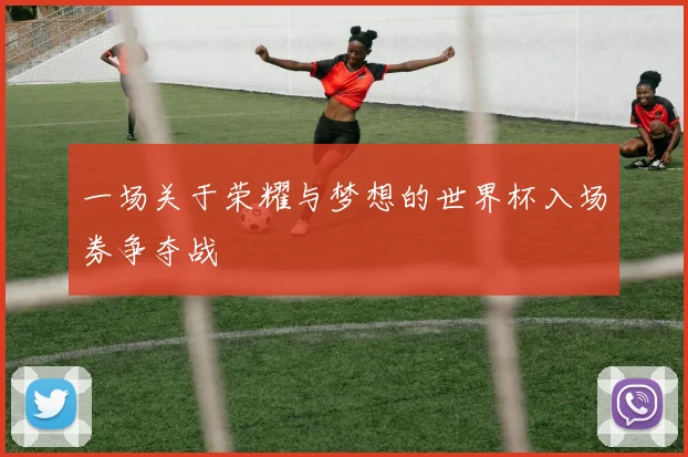 一场关于荣耀与梦想的世界杯入场券争夺战