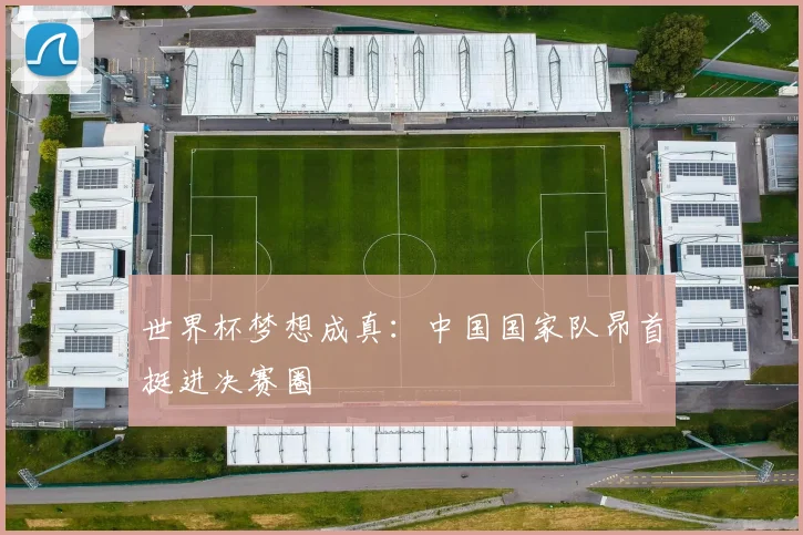 世界杯梦想成真：中国国家队昂首挺进决赛圈