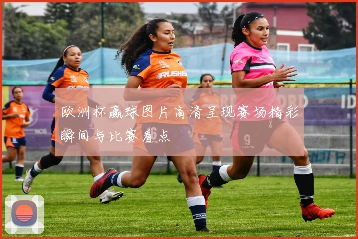 欧洲杯赢球图片高清呈现赛场精彩瞬间与比赛看点