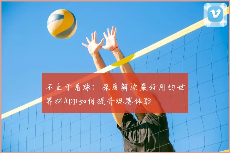 不止于看球:深度解读最好用的世界杯App如何提升观赛体验