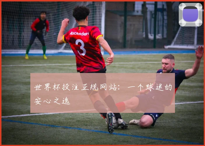世界杯投注正规网站:一个球迷的安心之选