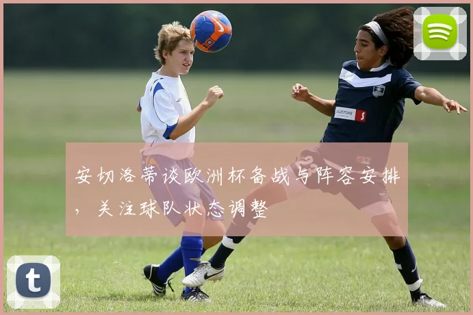 安切洛蒂谈欧洲杯备战与阵容安排,关注球队状态调整