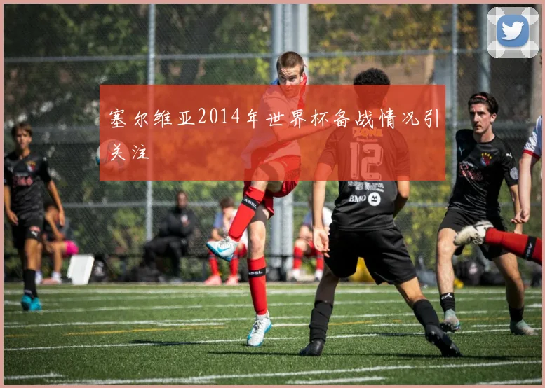 塞尔维亚2014年世界杯备战情况引关注