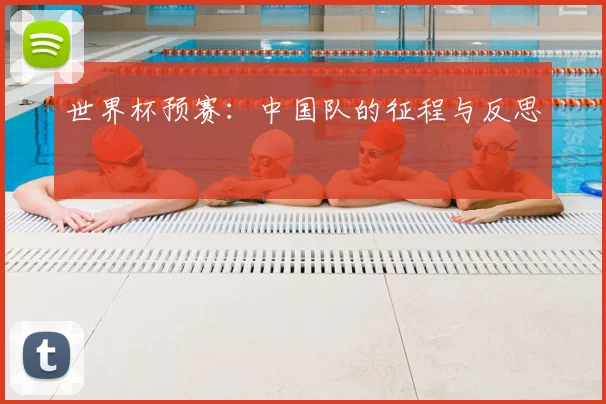 世界杯预赛：中国队的征程与反思