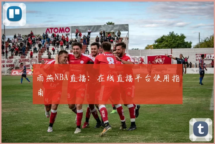 雨燕NBA直播：在线直播平台使用指南